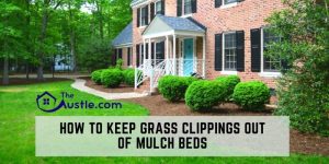 How To Keep Grass Clippings Out Of Mulch Beds