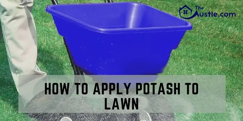 How To Apply Potash To Lawn