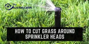 How To Cut Grass Around Sprinkler Heads