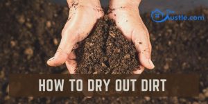 How To Dry Out Dirt
