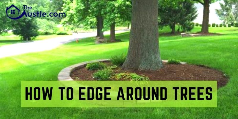 How to Edge Around Trees