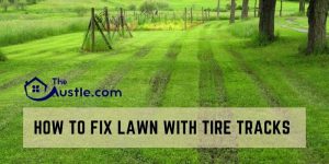 How to Fix Lawn with Tire Tracks