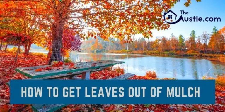 best way to get leaves out of your yard