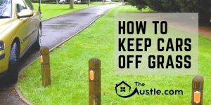 How To Keep Cars Off Grass