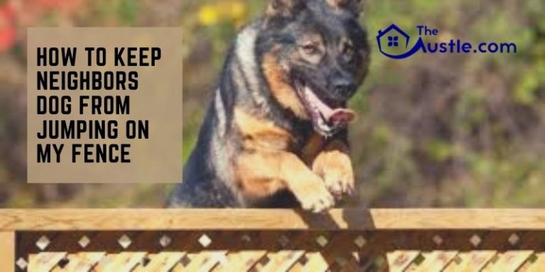 How to Keep Neighbors Dog from Jumping on My Fence | 5 Smart Ways