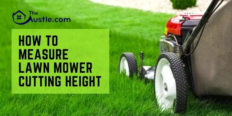 How to Measure Lawn Mower Cutting Height