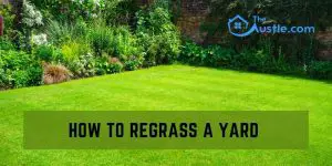 How To Regrass A Yard