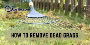 How To Remove Dead Grass