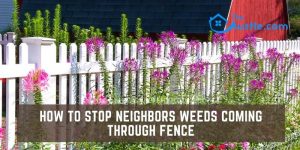 How to Stop Neighbors Weeds Coming Through Fence