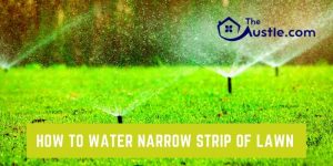 how to water narrow strip of lawn