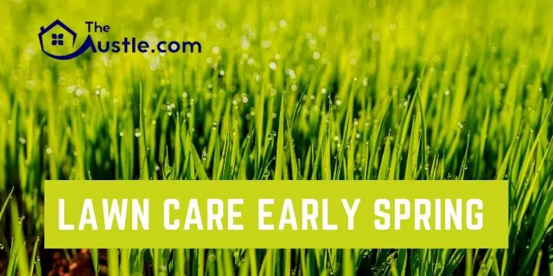 Lawn Care Early Spring