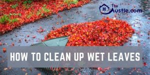 How To Clean Up Wet Leaves