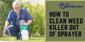 How To Clean Weed Killer Out Of Sprayer