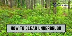 How To Clear Underbrush