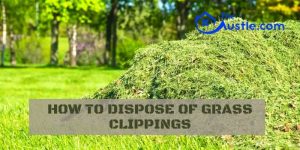 How To Dispose Of Grass Clippings