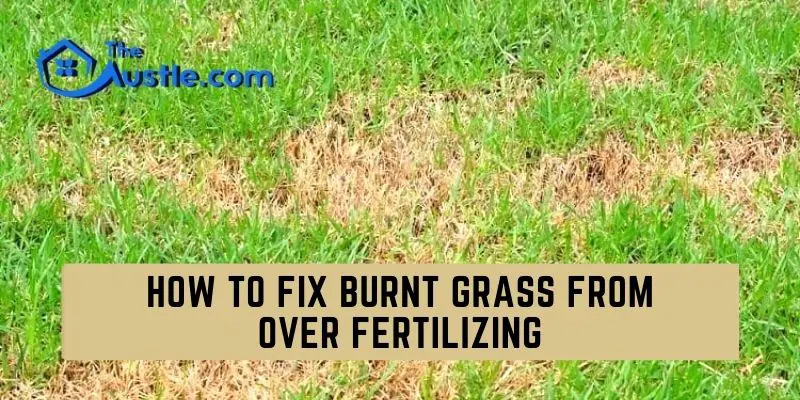 How To Fix Burnt Grass From Over Fertilizing