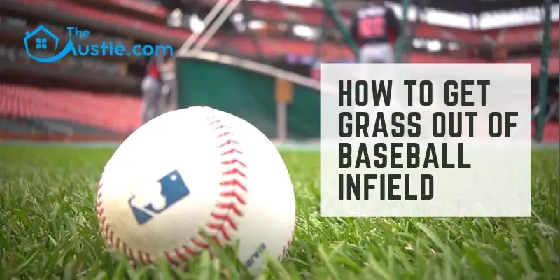 How to Get Grass Out of Baseball Infield
