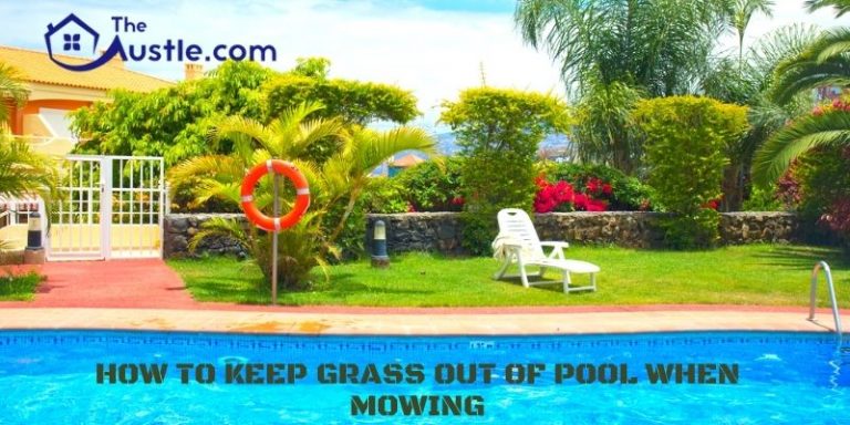 How to Keep Grass Out of Pool When Mowing- Learn the Mowing Tricks