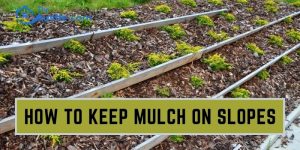 How To Keep Mulch On Slopes