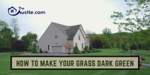 How to Make Your Grass Dark Green