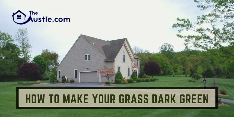 How to Make Your Grass Dark Green