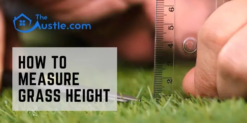 How To Measure Grass Height