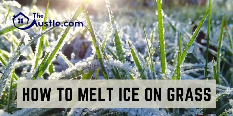 How To Melt Ice On Grass
