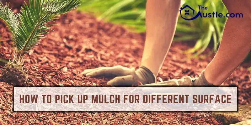How to Pick Up Mulch for Different Surface