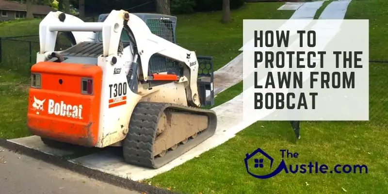 How To Protect The Lawn From Bobcat