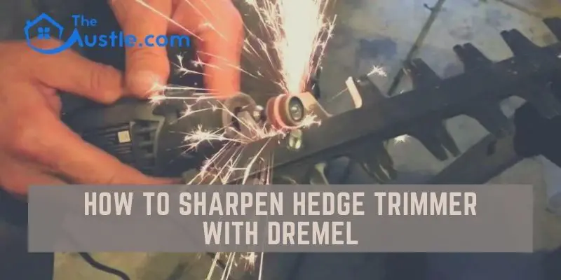 How To Sharpen Hedge Trimmer With Dremel