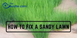 how to fix a sandy lawn