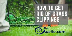 How to Get Rid Of Grass Clippings