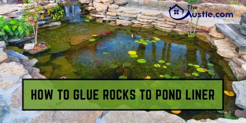 how to glue rocks to pond liner