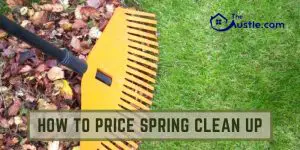 How To Price Spring Clean Up