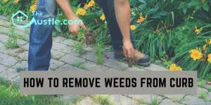 How To Remove Weeds From Curb
