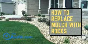 How To Replace Mulch With Rocks