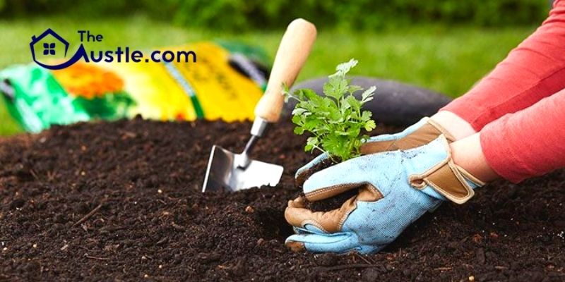 How To Select The Best Lawn Soil Conditioner
