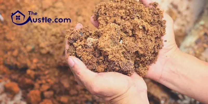 What Is The Difference Between Organic And Inorganic Soil Conditioners